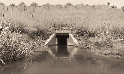 16011944927192145a46.jpg 1.jpg